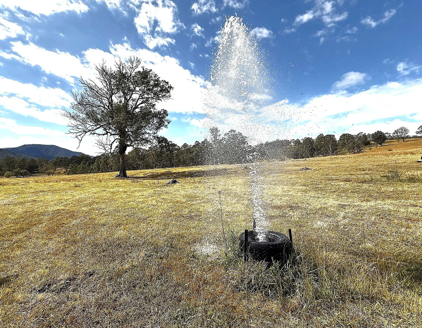 Additional image 15 of 3/1076 Neringla Road, Braidwood NSW 2622