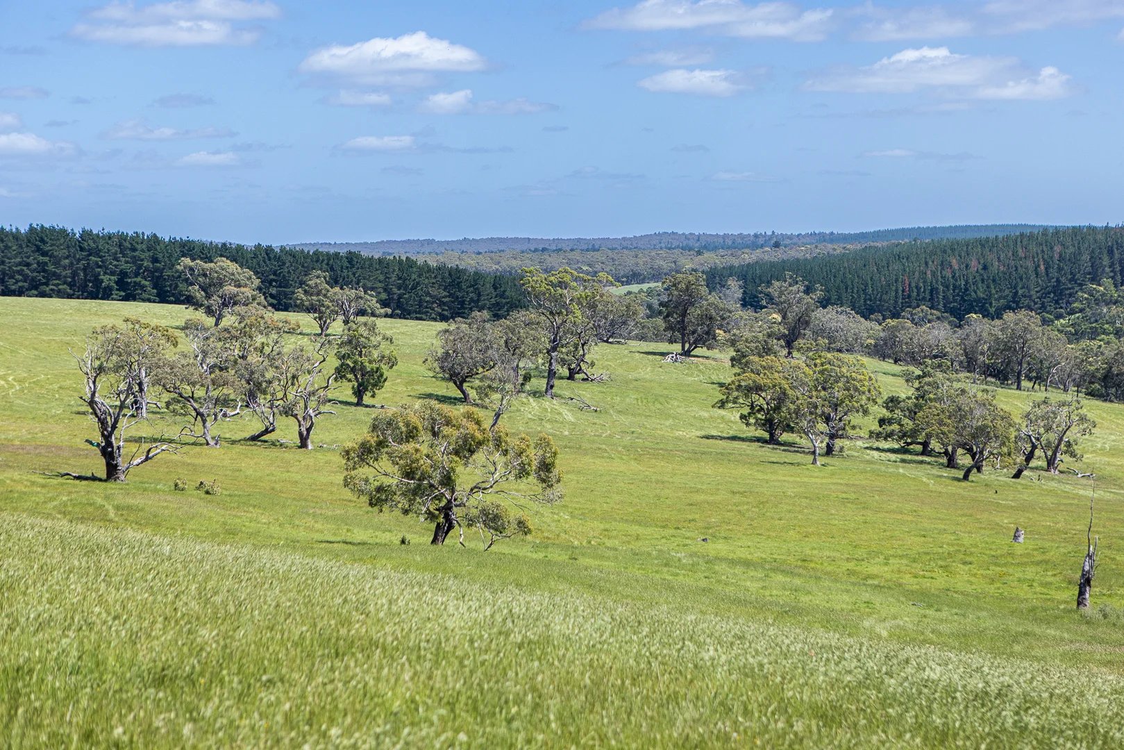 Additional image 12 of 1090 Six Chain Road, Killara VIC 3312