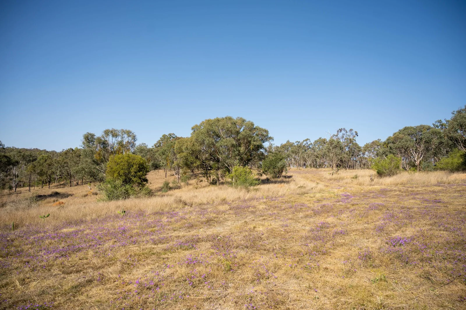 Additional image 3 of Lot 8 & 43 Edens Chase, Rosenthal Heights QLD 4370