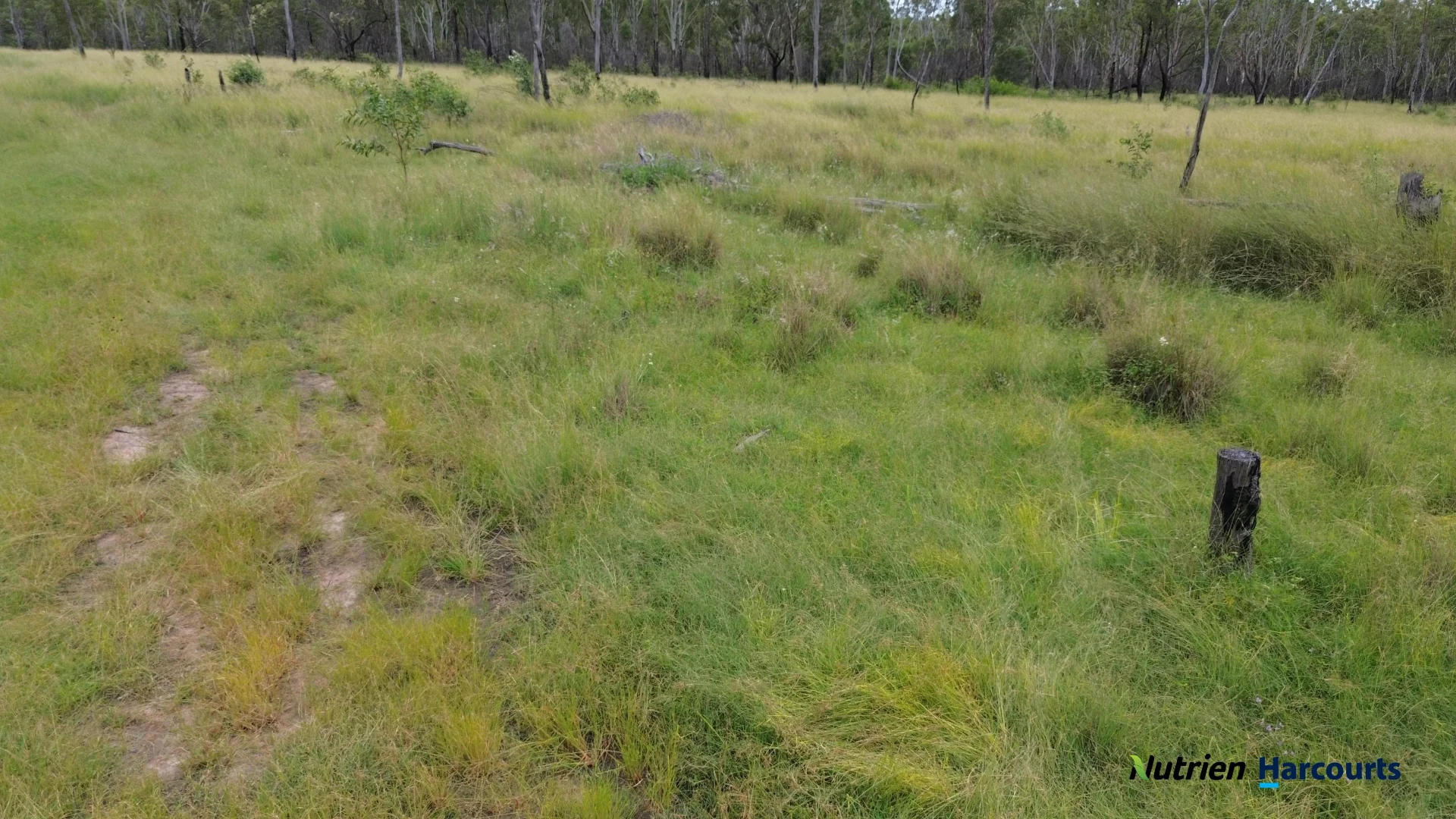 Additional image 31 of 754 Pedersens Road, Dangore QLD 4610