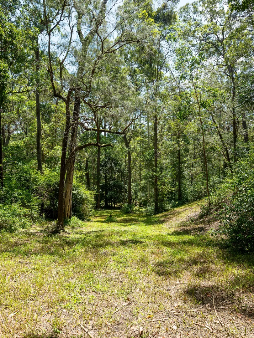 Additional image 15 of 26 Krakatinni Close, Cedar Creek QLD 4520