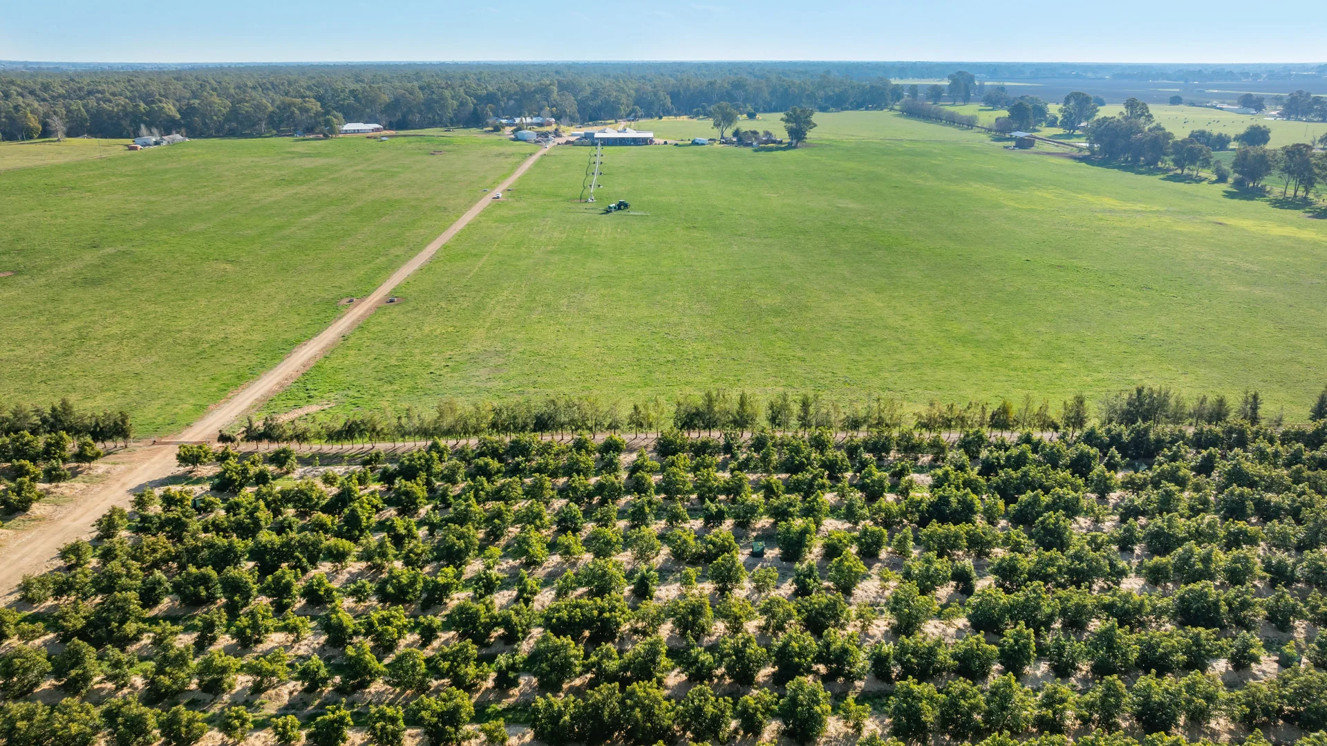 Additional image 6 of Sepelts Road, Barooga NSW 3644