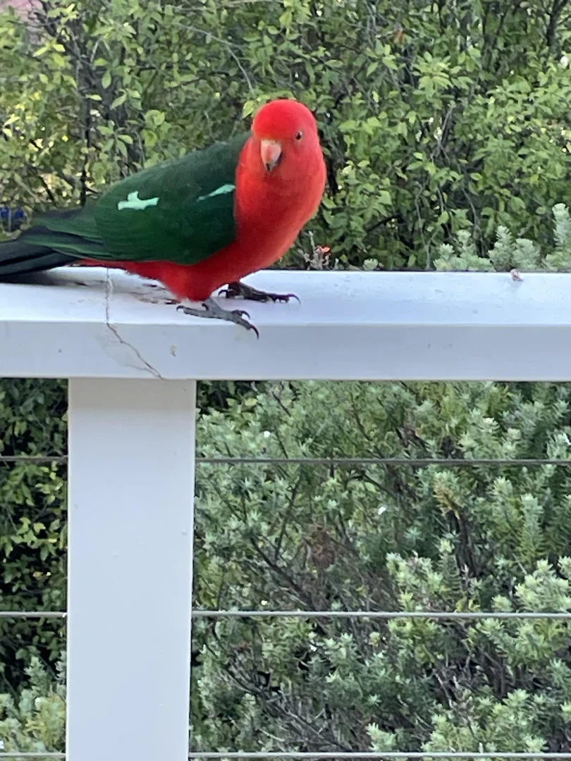 Additional image 20 of 120 Stirling Rd, Metung VIC 3904