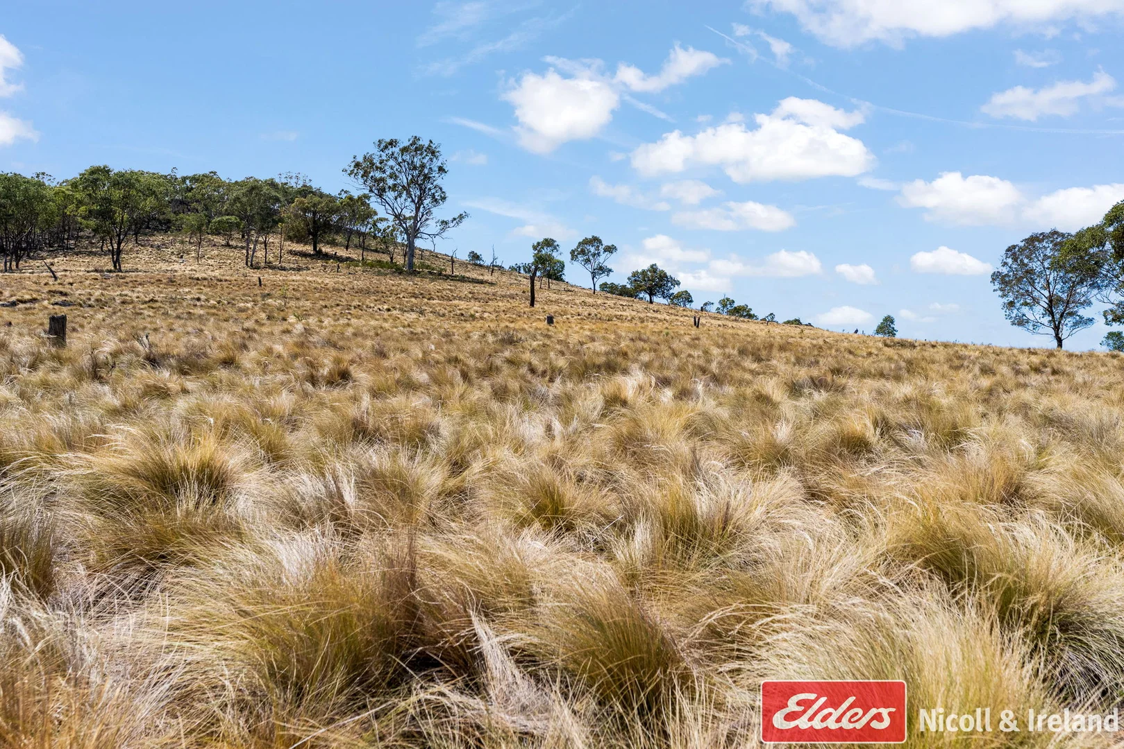 Additional image 22 of 3548 The Bridle Track, Bruinbun NSW 2795