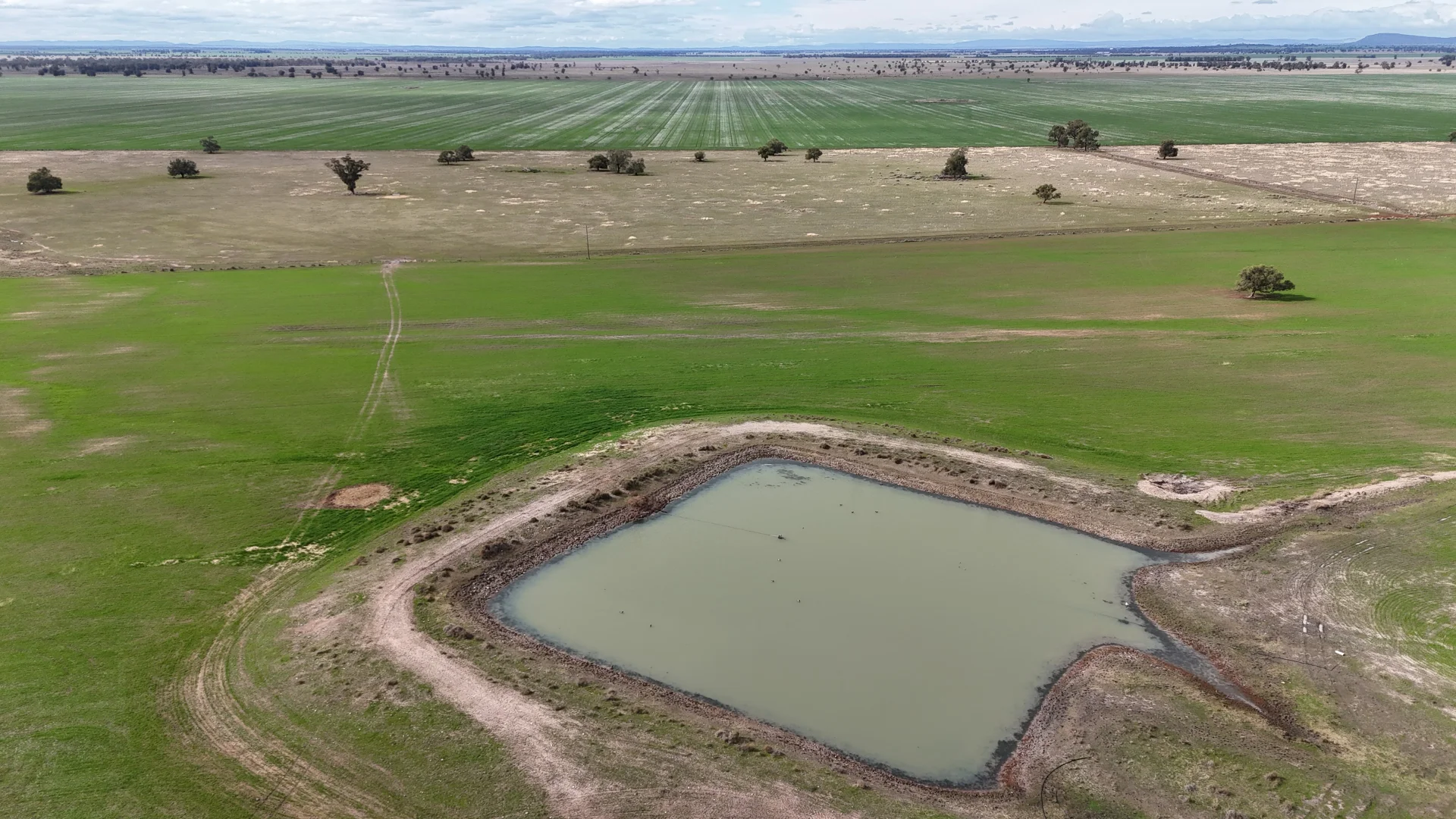 Additional image 7 of 877 Mount Tallabung Road, Forbes NSW 2871