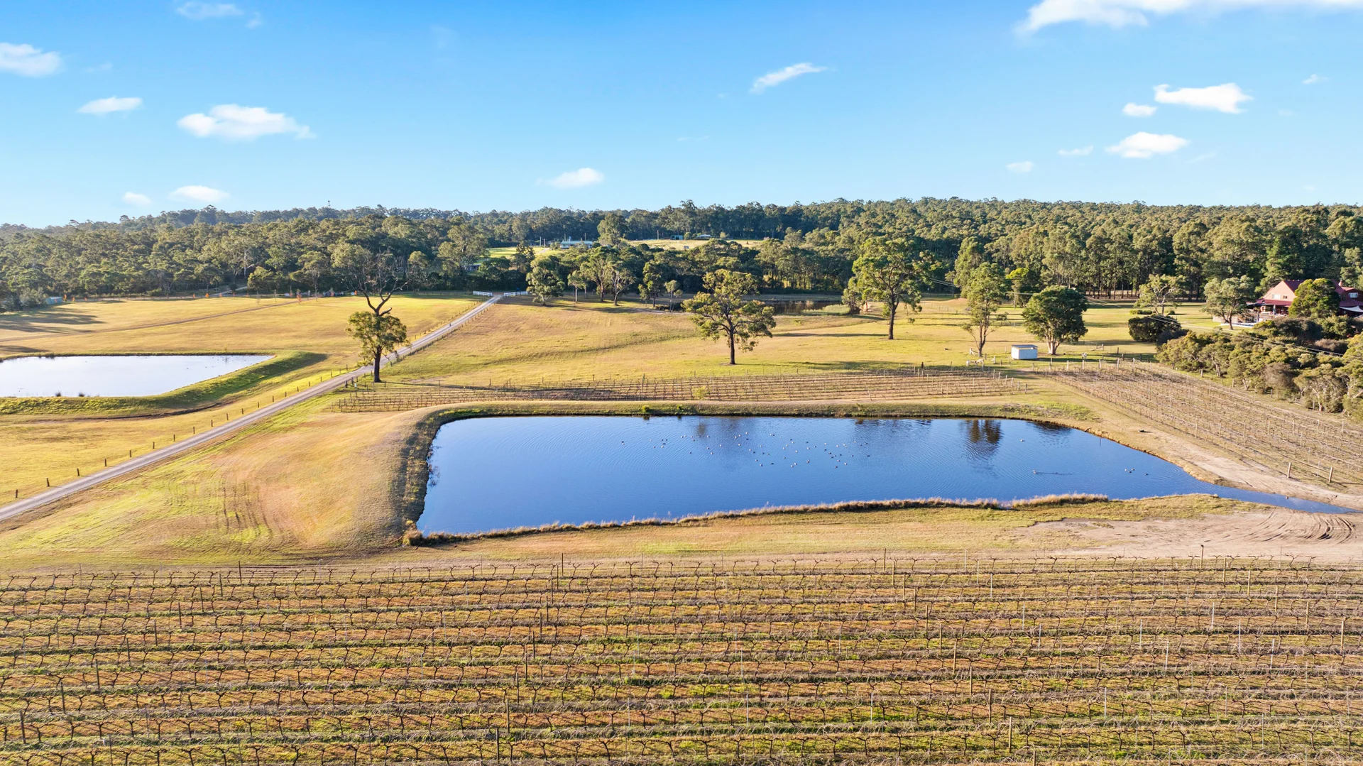 Additional image 27 of 168 Lomas Lane, Nulkaba NSW 2325