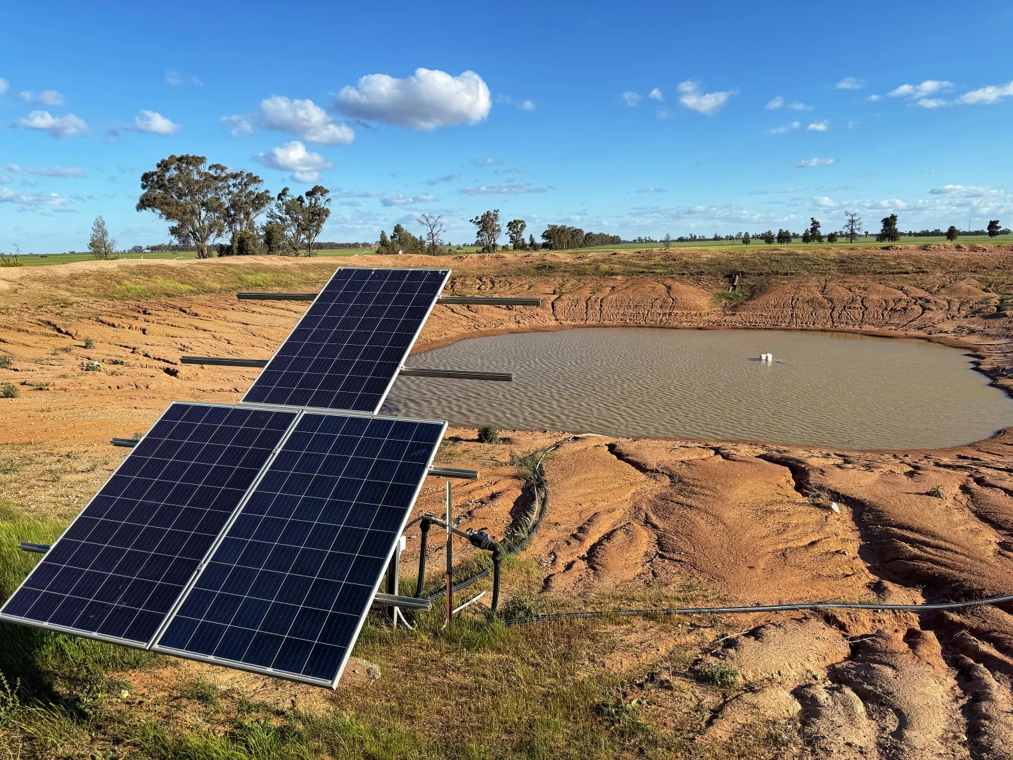 Additional image 4 of 'Laurel Hills' 81 Salters Road, Condobolin NSW 2877