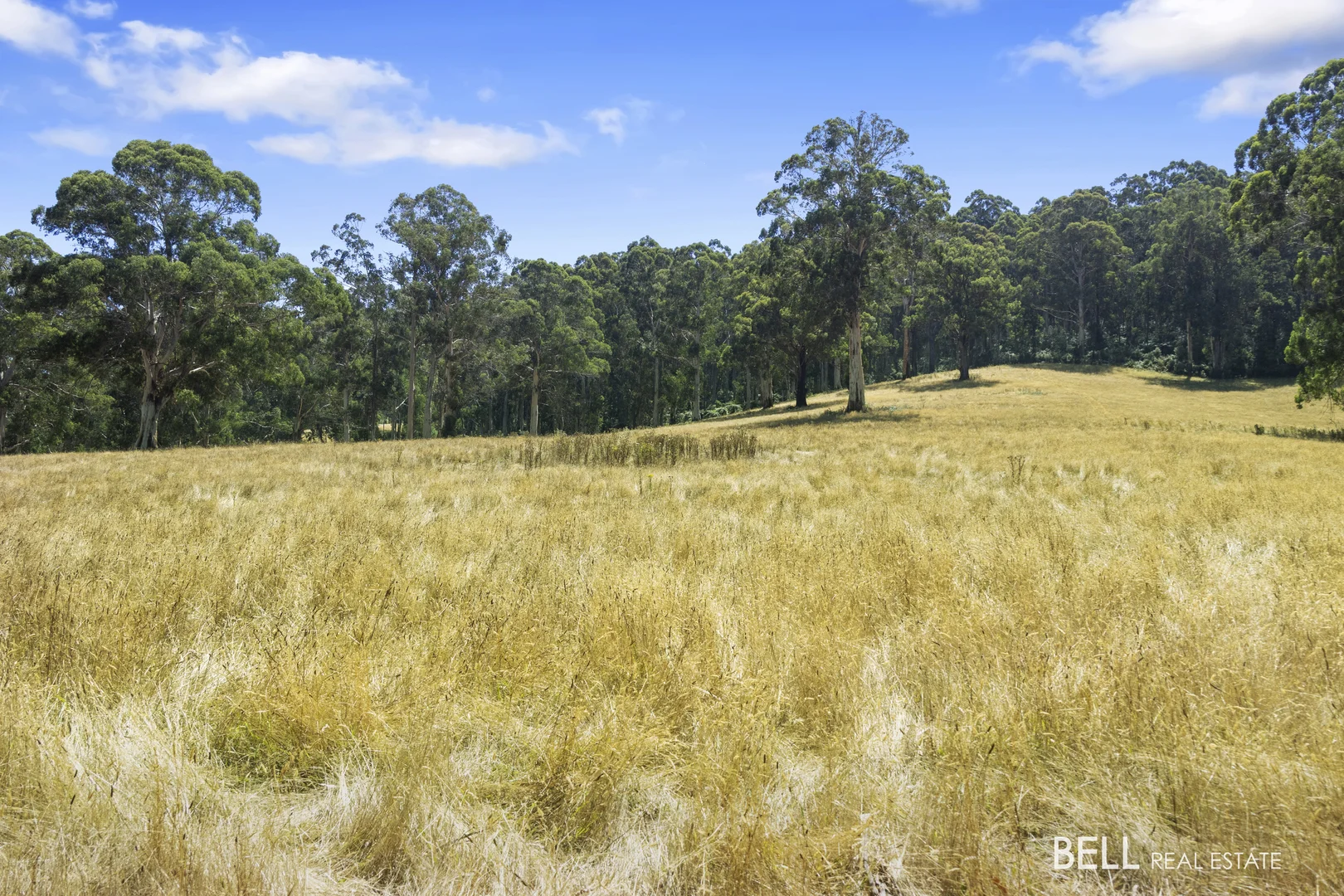 Additional image 9 of 1115 Little Yarra Road, Three Bridges VIC 3797