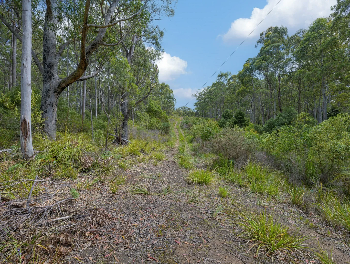 Additional image 3 of PID 6409528 Esk Main Road, St Marys TAS 7215
