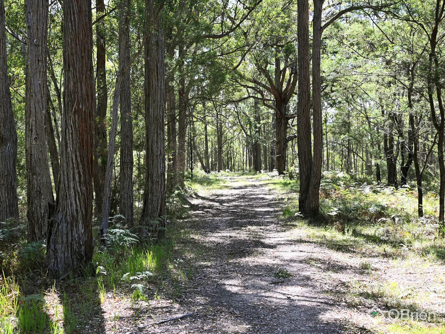 Additional image 10 of 655 Orrs Road, Wy Yung VIC 3875