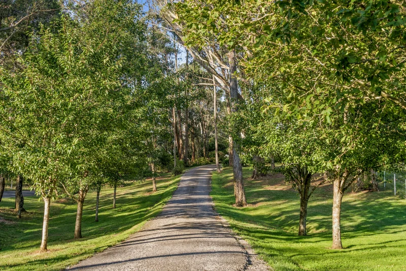 Additional image 18 of 240 Myra Vale Road, Wildes Meadow NSW 2577