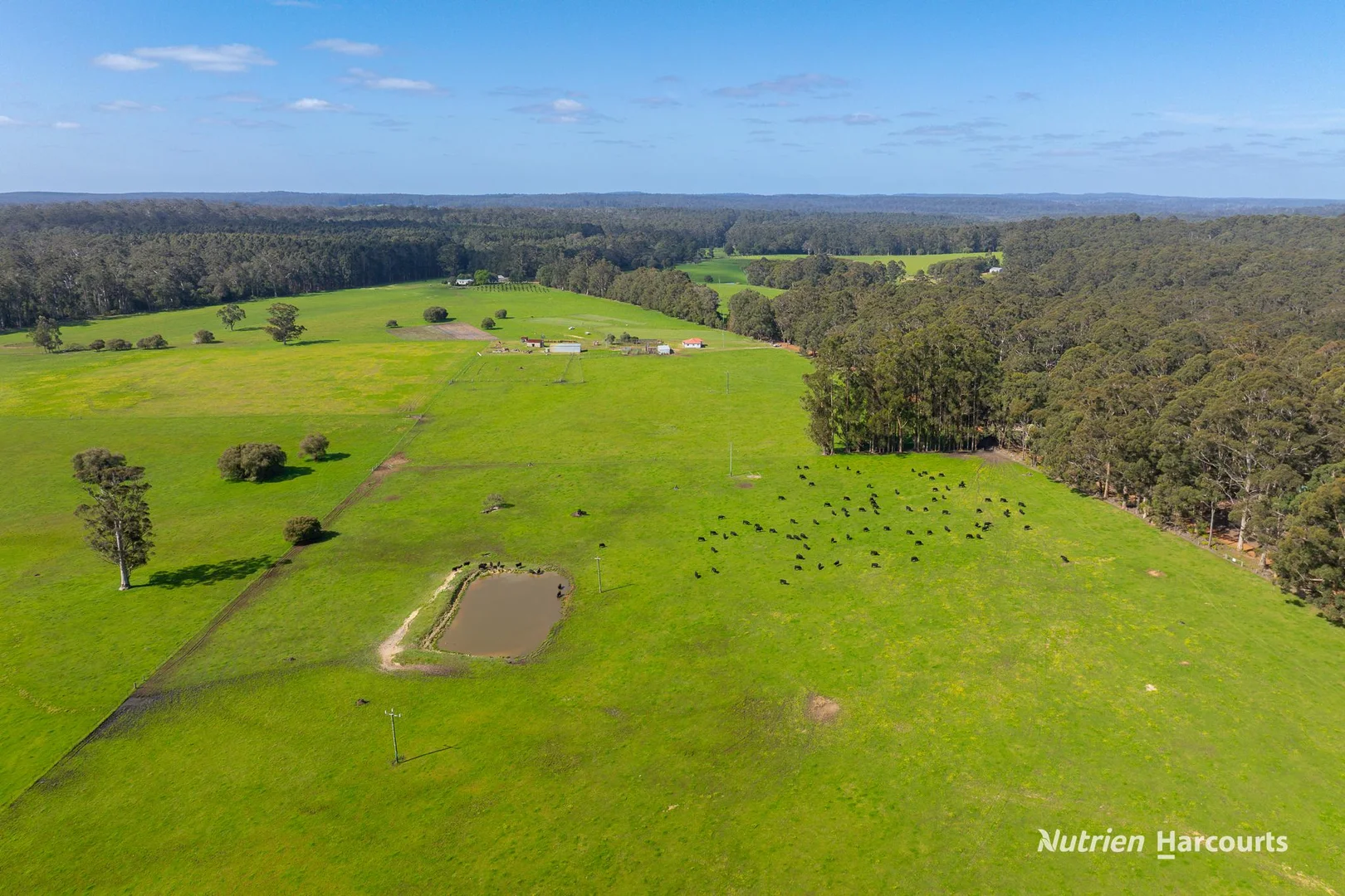 Additional image 12 of 1545 Muirillup Road, Boorara Brook WA 6262