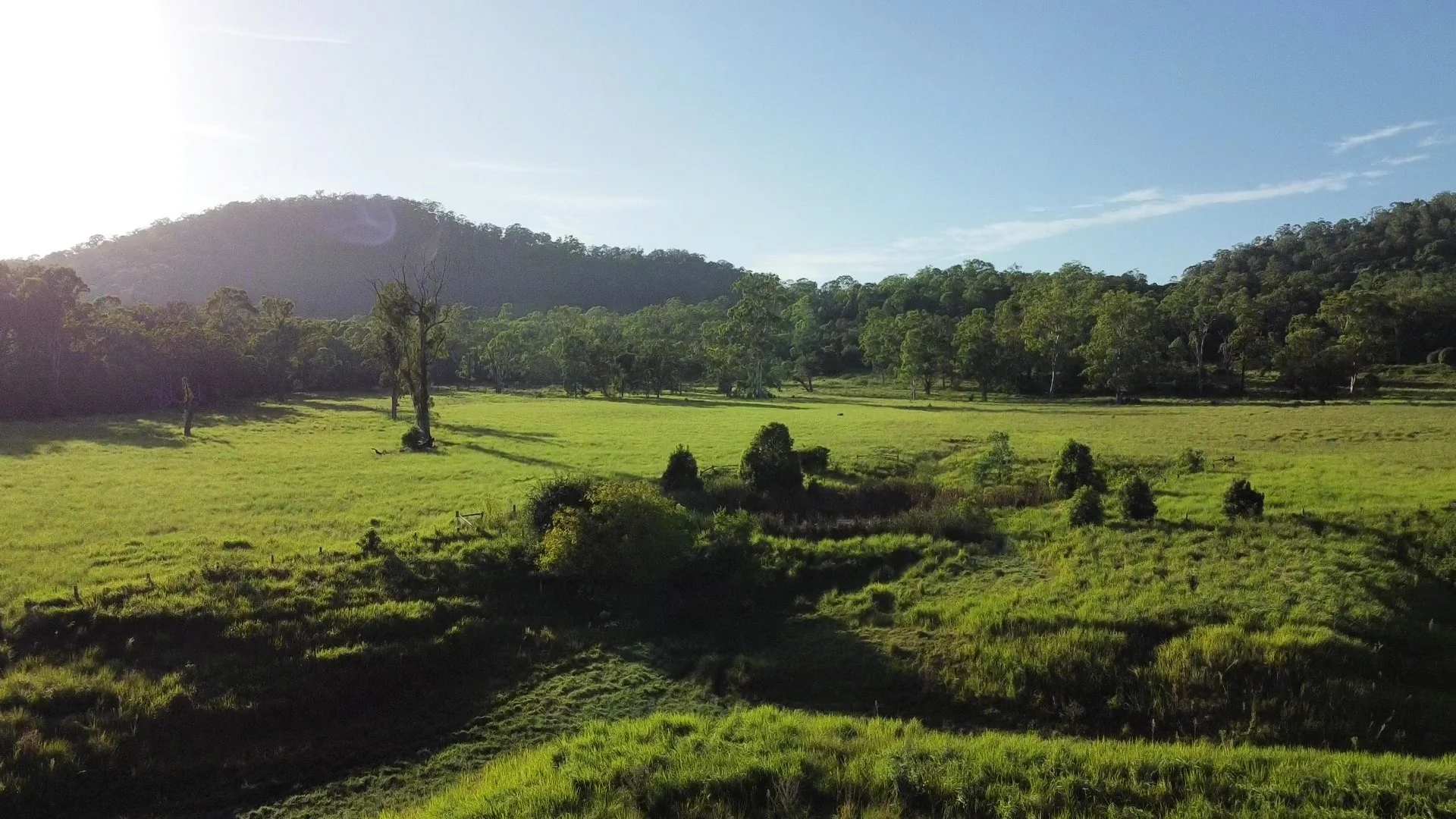 Additional image 15 of 1106 Naughtons Gap Road, Bentley NSW 2480