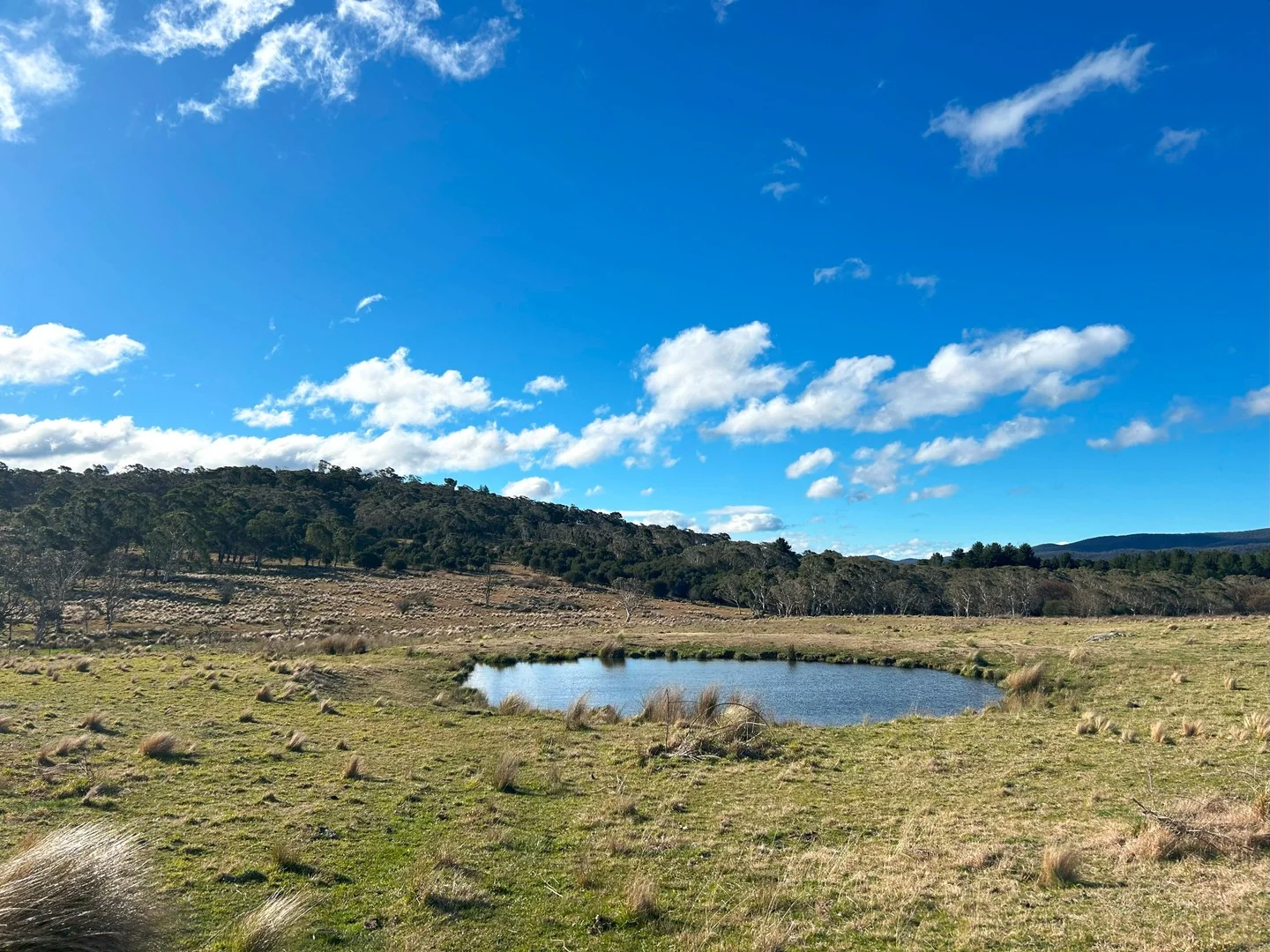 Additional image 7 of 11 & 128 Stoney Ridge Road, Braidwood NSW 2622