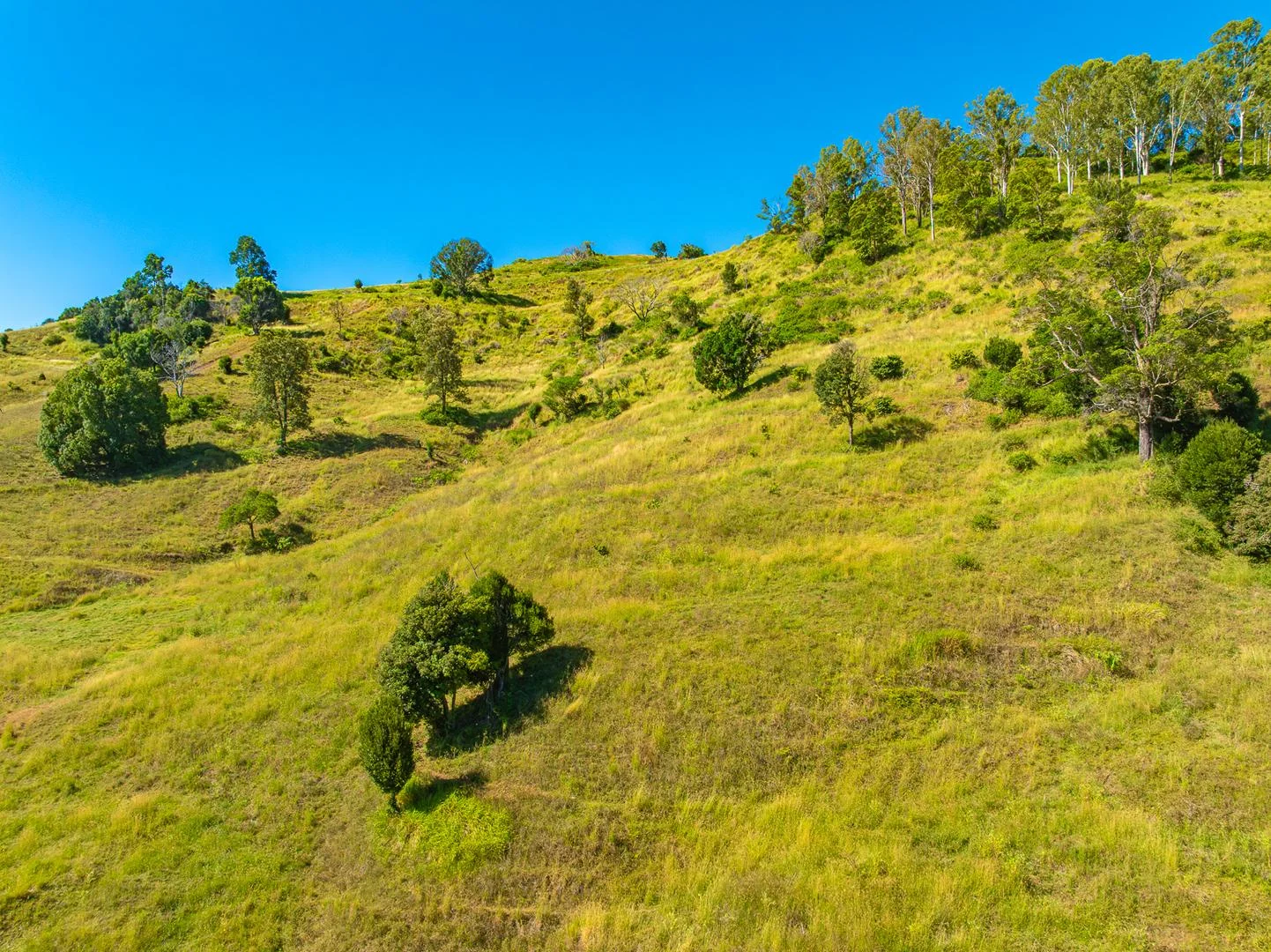 Additional image 31 of 343 Walli Mountain Road, Kenilworth QLD 4574