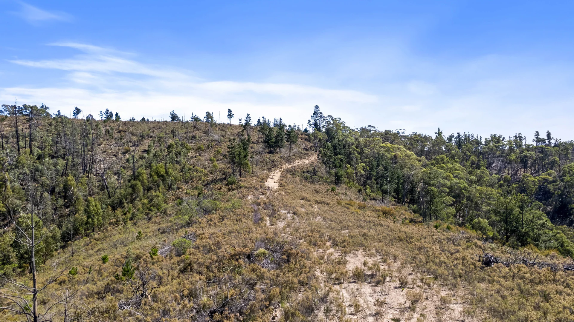 Additional image 8 of 267 New Olivers Road, Running Stream NSW 2850