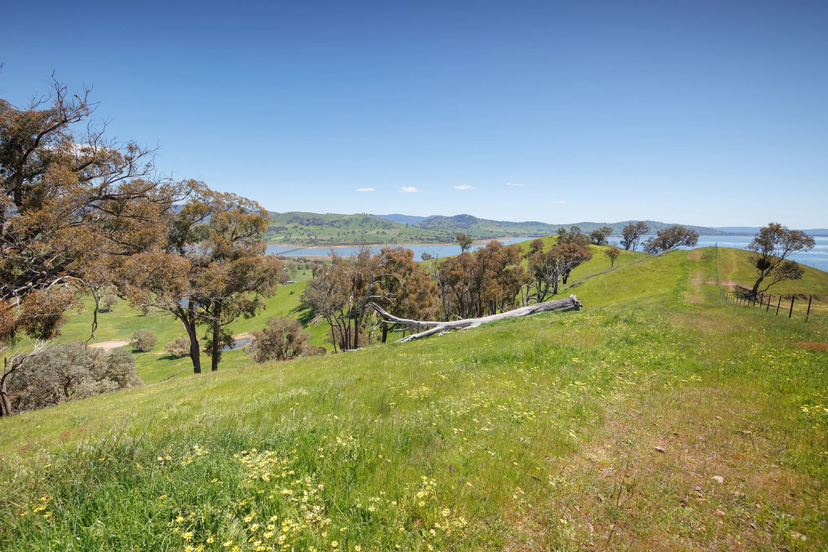 Additional image 51 of 1407 Murray Valley Highway, Huon VIC 3695