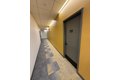 1117 W Fayette St Unit 211, Syracuse, NY, 13204