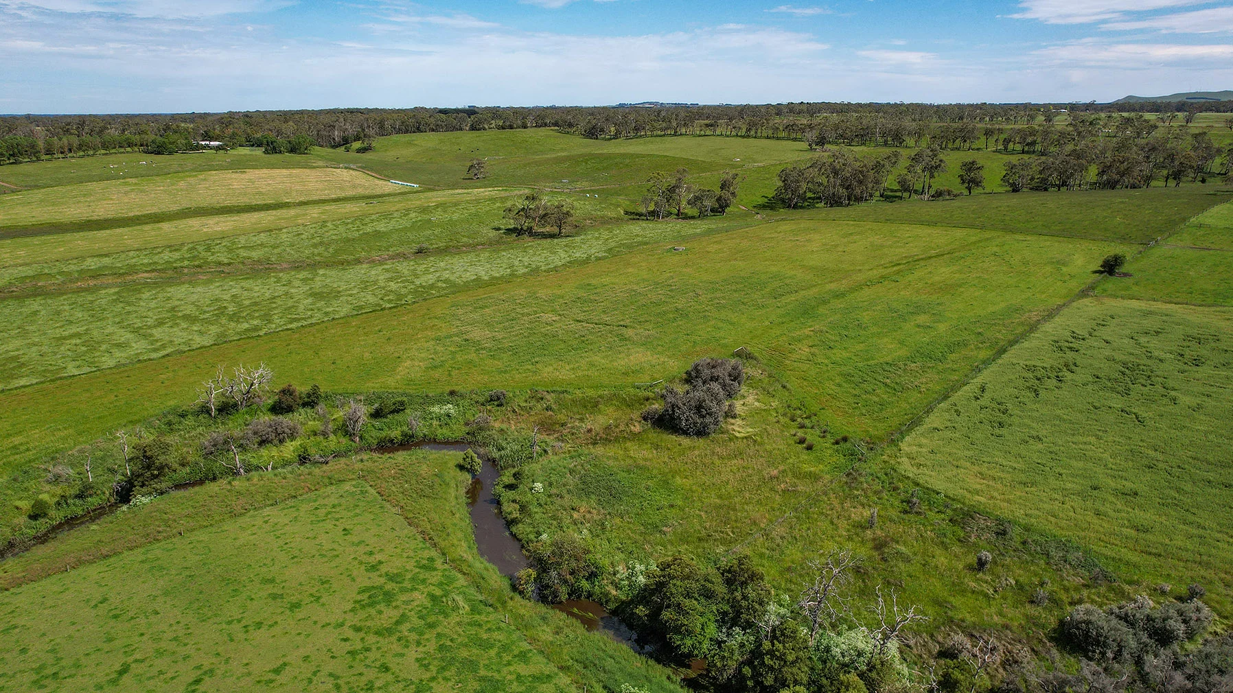 Additional image 41 of 335 Rollos Road, Panmure VIC 3265