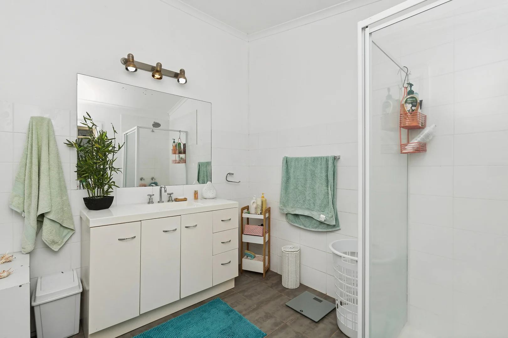 Additional image 11 of 206-214 Green Street, Lockhart NSW 2656