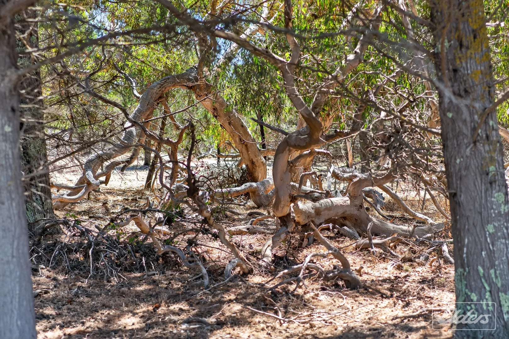 Additional image 78 of 839 Signal Flat Road, Finniss SA 5255