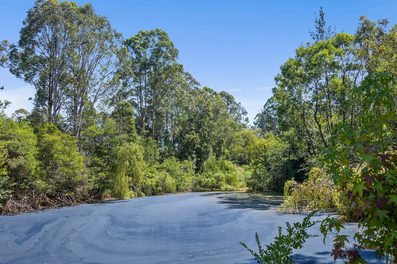 Additional image 17 of 2255 Moss Vale Rd Road, Kangaroo Valley NSW 2577