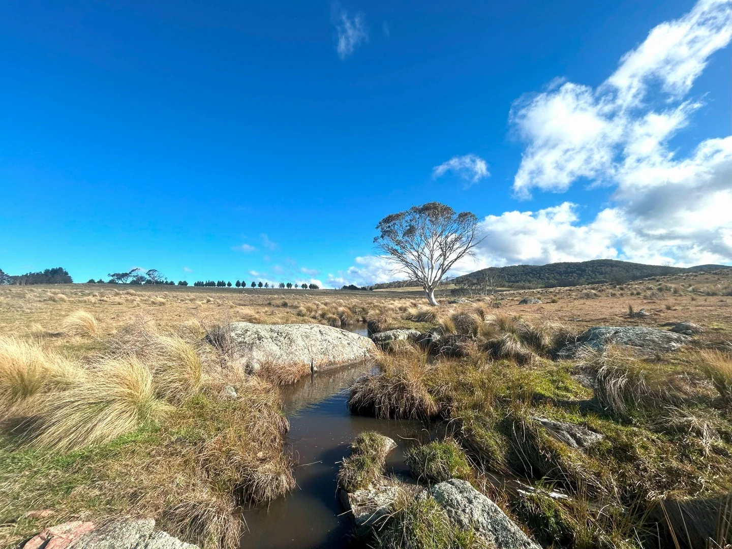 Additional image 6 of 11 & 128 Stoney Ridge Road, Braidwood NSW 2622