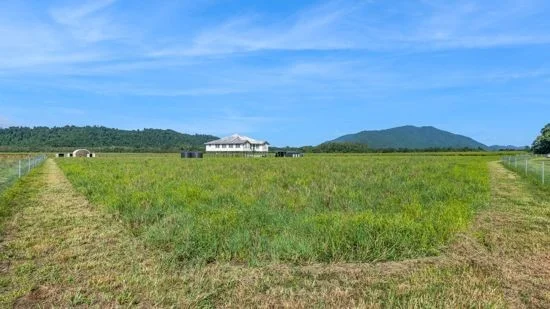 Additional image 13 of 21 Barbagallo Road, Aloomba QLD 4871