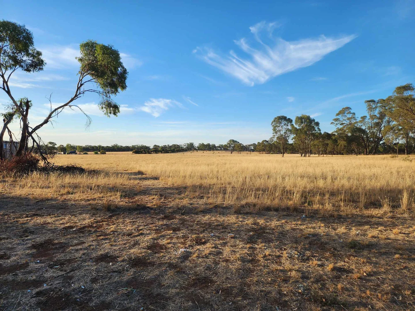 Additional image 19 of 1898 Elmore-Raywood Road, Kamarooka VIC 3570