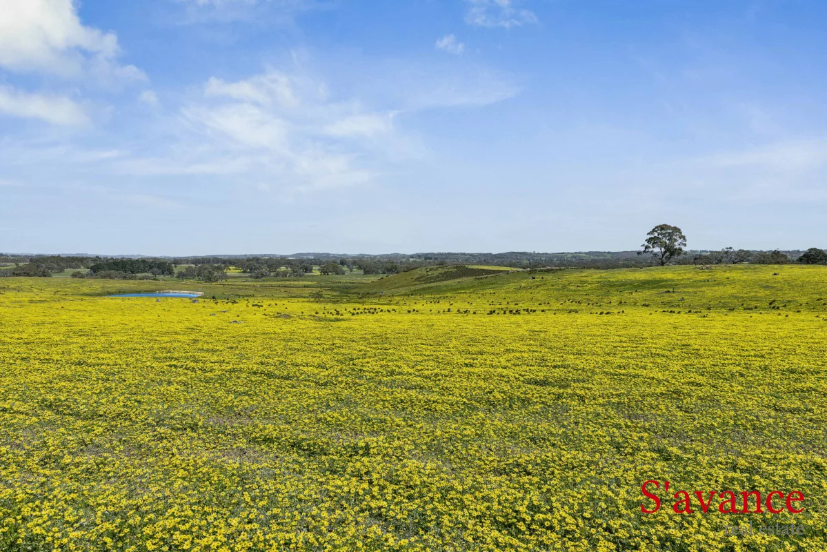 Additional image 11 of 110 Schrapels Road, Mount Pleasant SA 5235