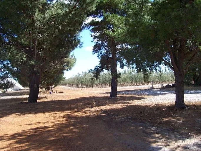 Additional image 11 of 454 Tangletoe Road, Muckenburra WA 6503