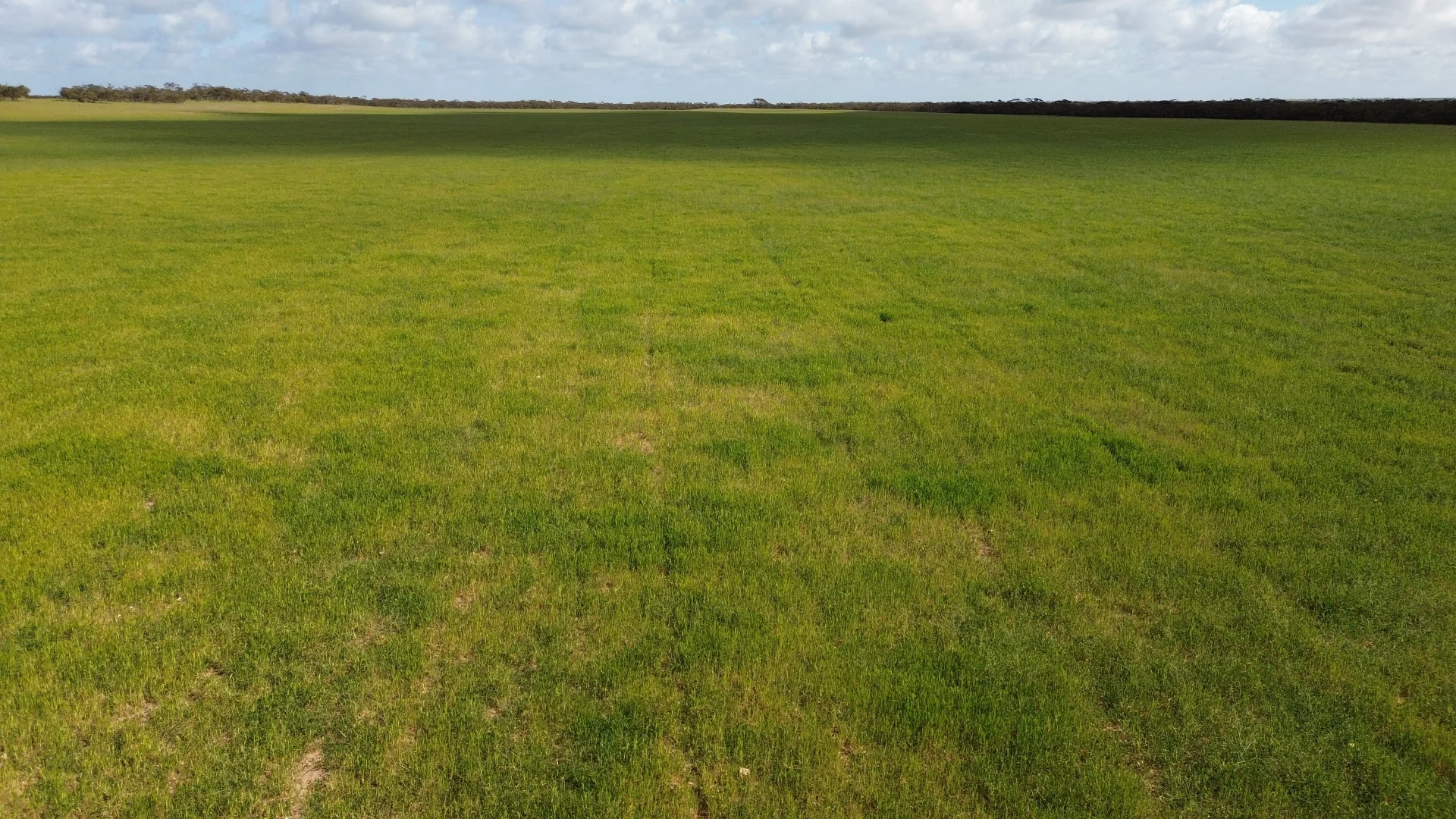 Additional image 3 of Lot 18 Tod Highway, Warramboo SA 5650