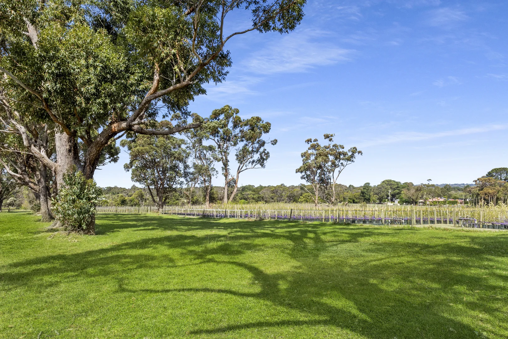 Additional image 12 of 8 Bittern-Dromana Road, Bittern VIC 3918