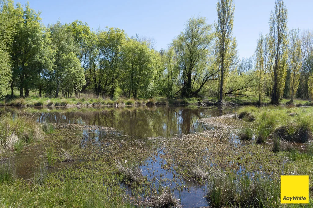 Additional image 23 of 28 Merino Vale Drive, Wamboin NSW 2620