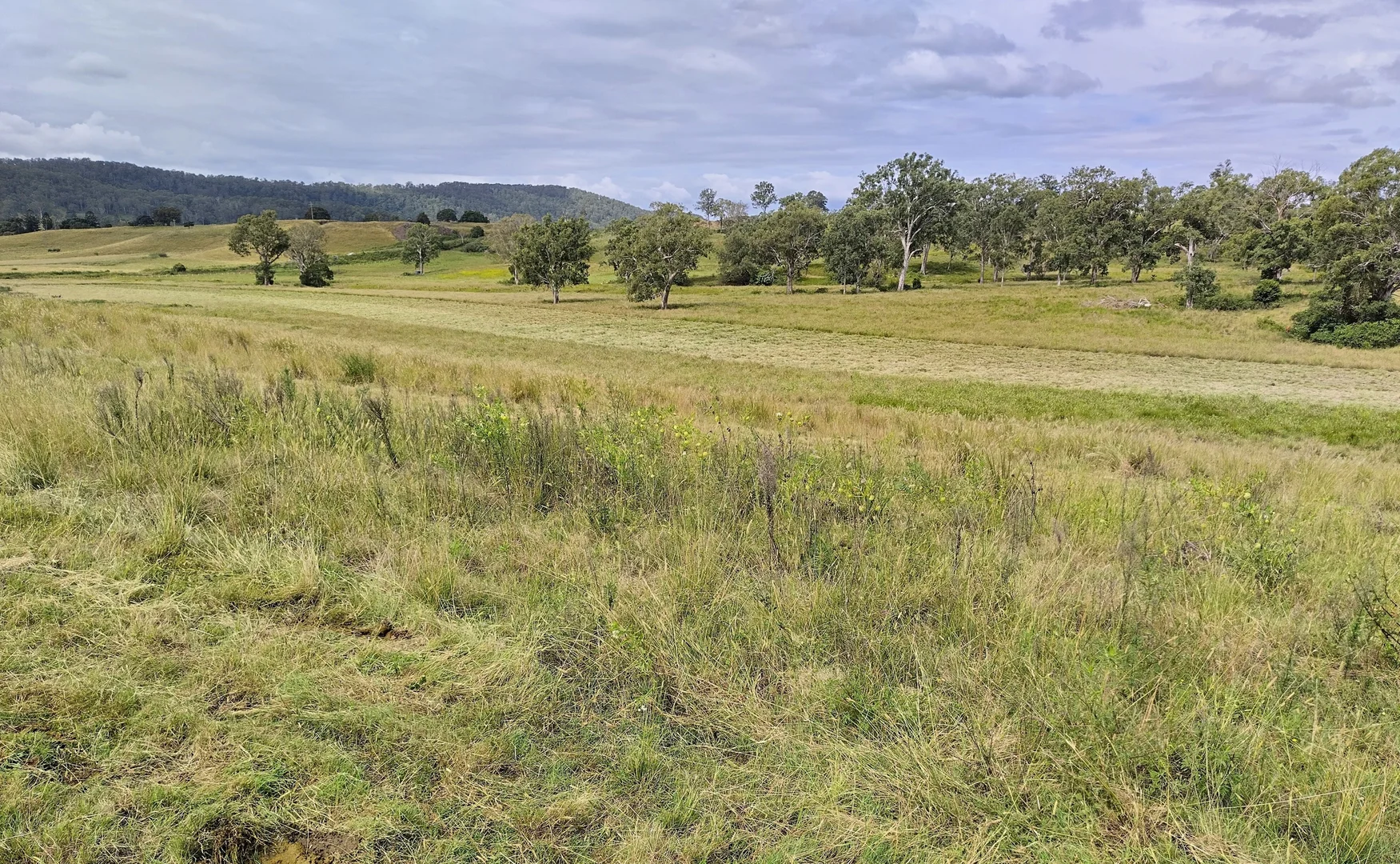 Additional image 9 of 1106 Naughtons Gap Road, Bentley NSW 2480