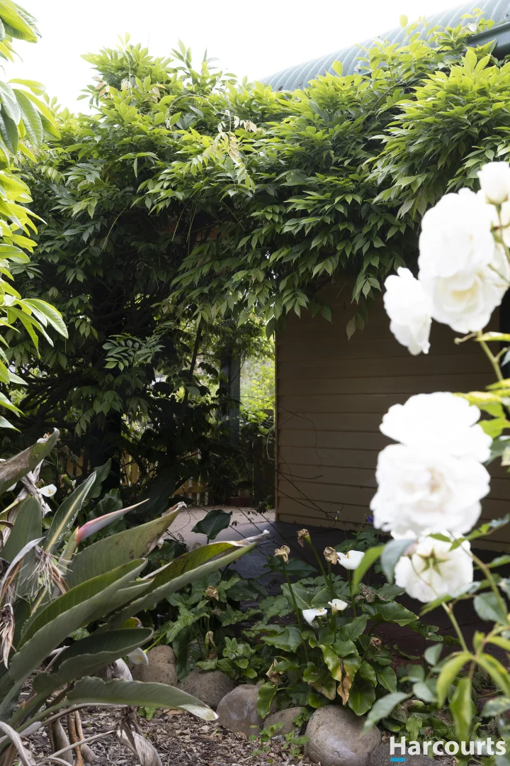 Additional image 11 of 12 Victor Street, Latrobe TAS 7307