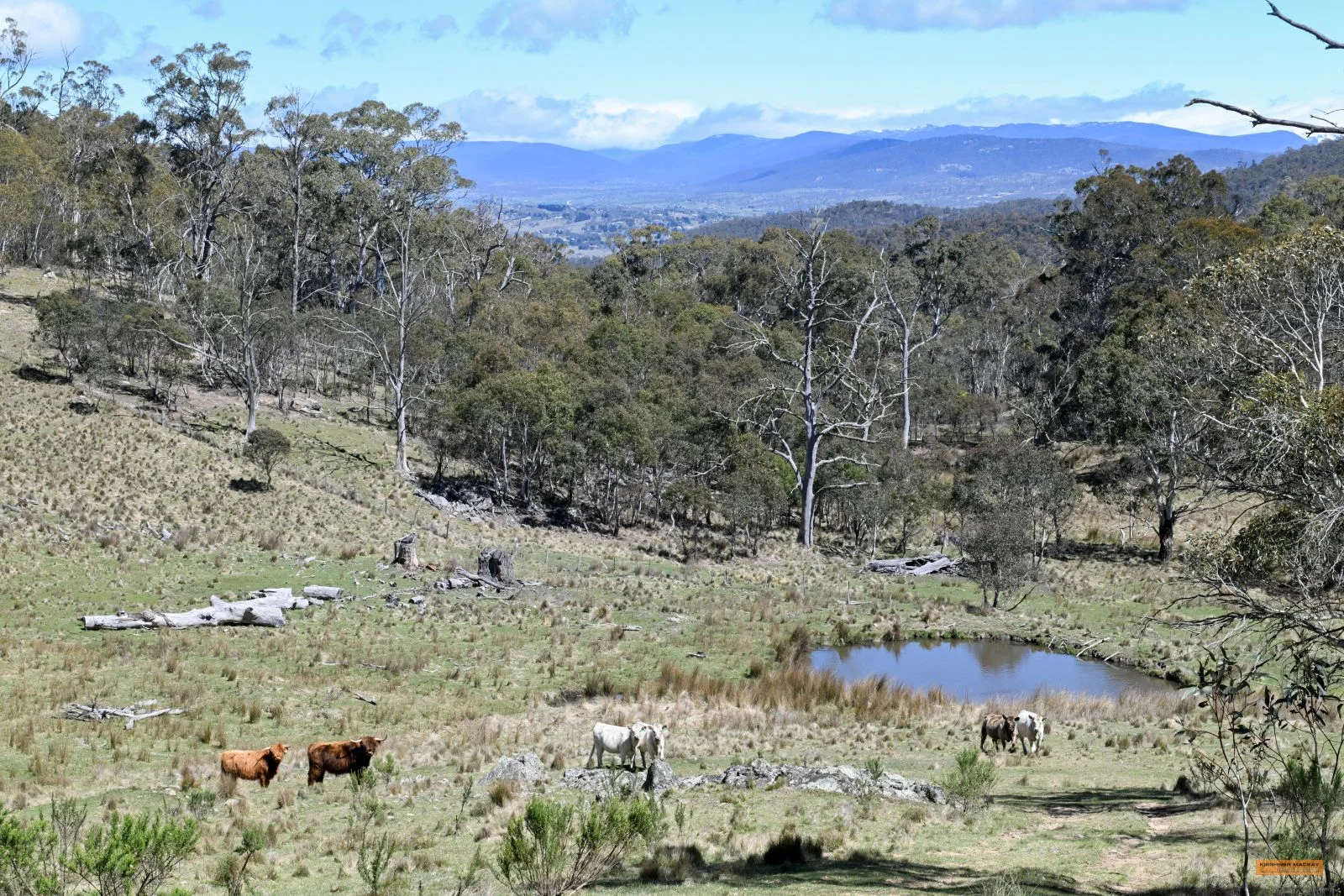 Additional image 14 of "King's Ridge" 698 Avonside Road, Avonside NSW 2628