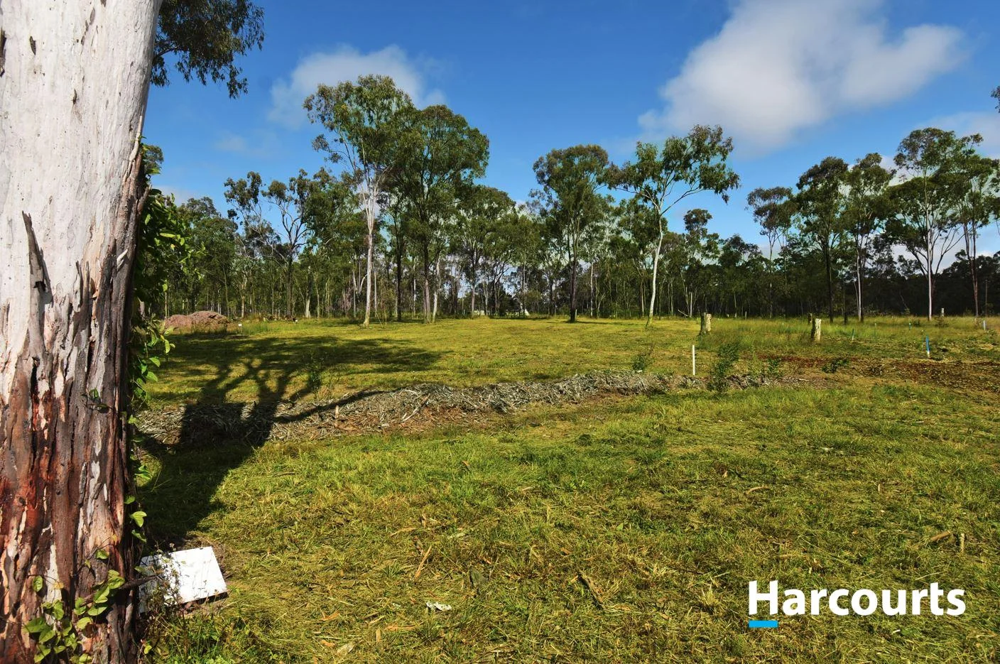 Additional image 4 of 15 Chevonne Place, Apple Tree Creek QLD 4660