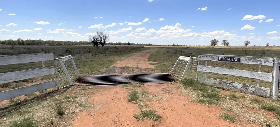 Additional image 10 of 9812 Pilliga Road, Coonamble NSW 2829