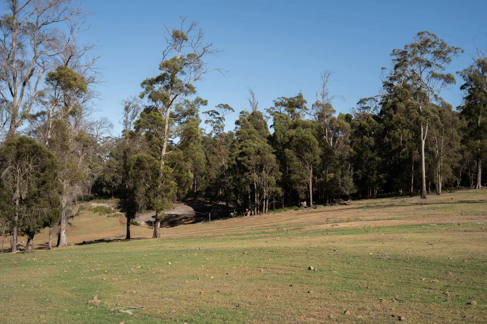 Additional image 12 of 51 Annies Lane, Northdown TAS 7307