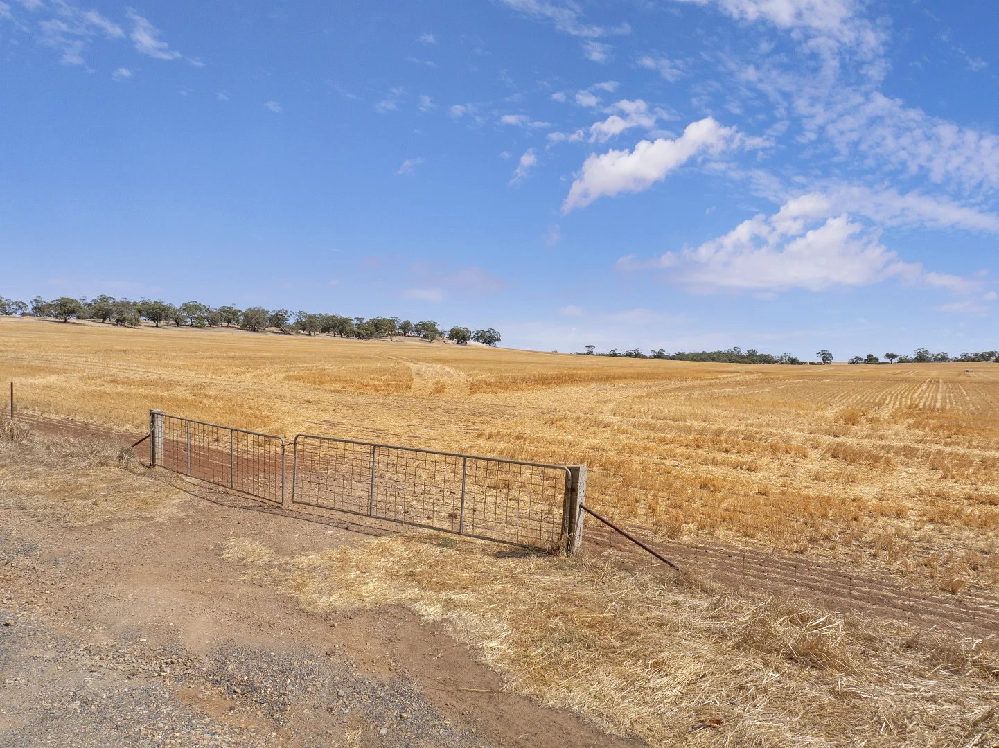 Additional image 27 of 'Merilden Feedlot' & 'Brads', Manoora SA 5414