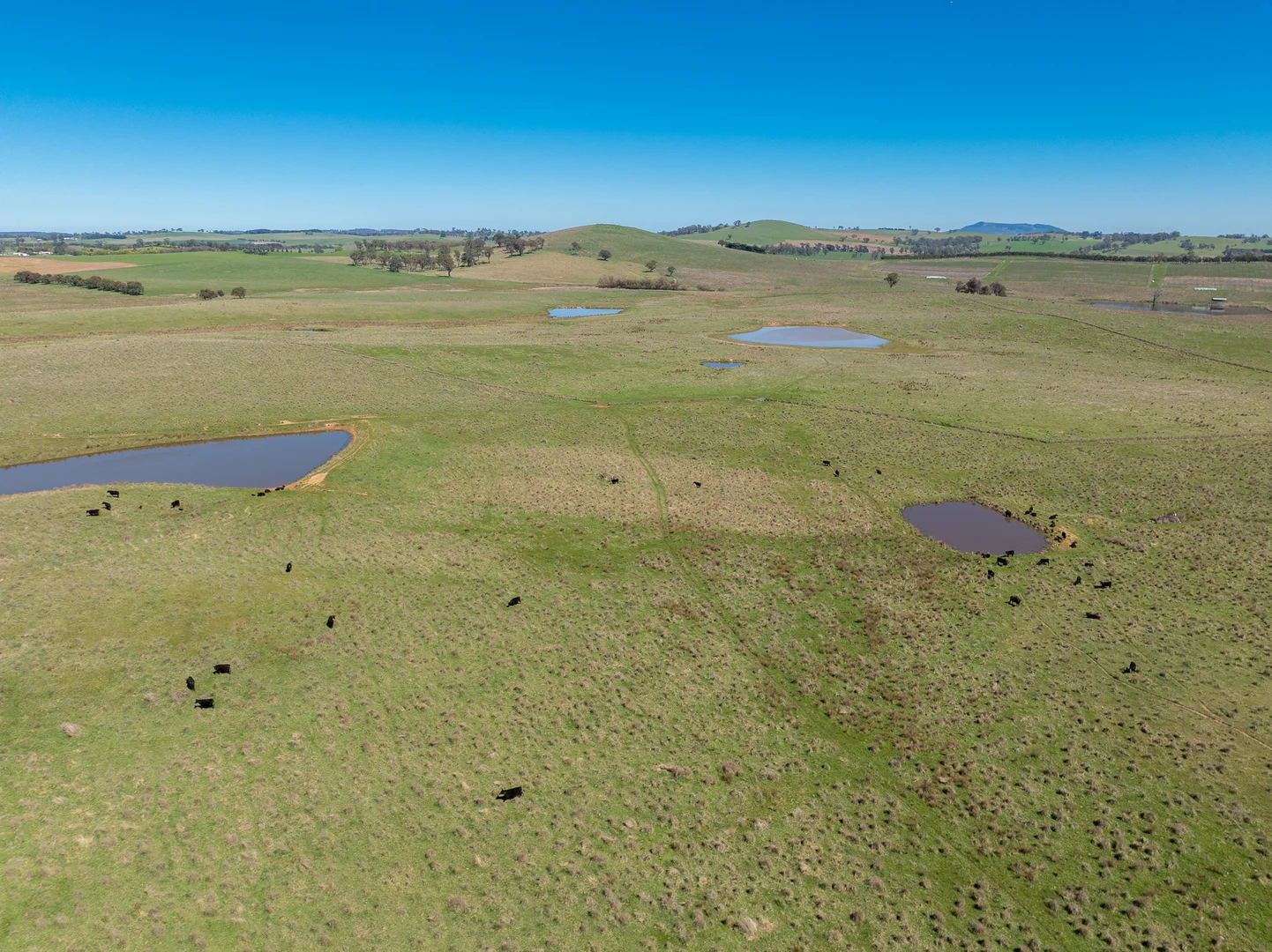 Additional image 6 of 242 Bundaleer Road, Newbridge NSW 2795