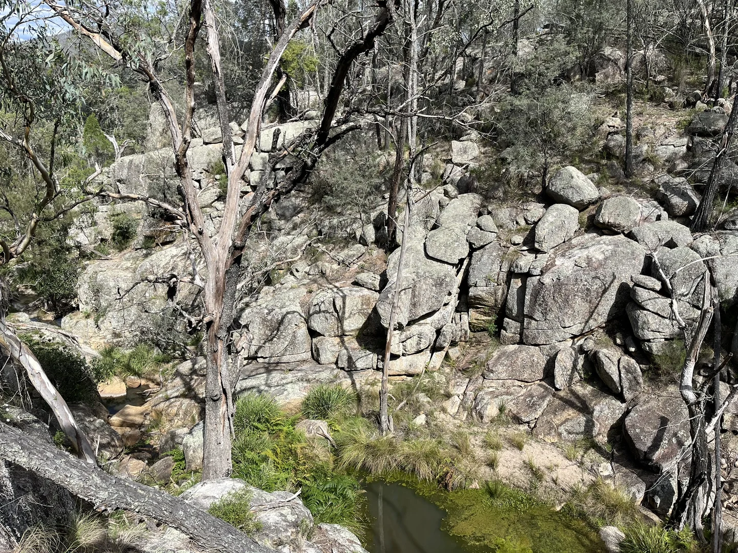 Additional image 3 of Bald Rock Bendemeer Road, Kingstown NSW 2358