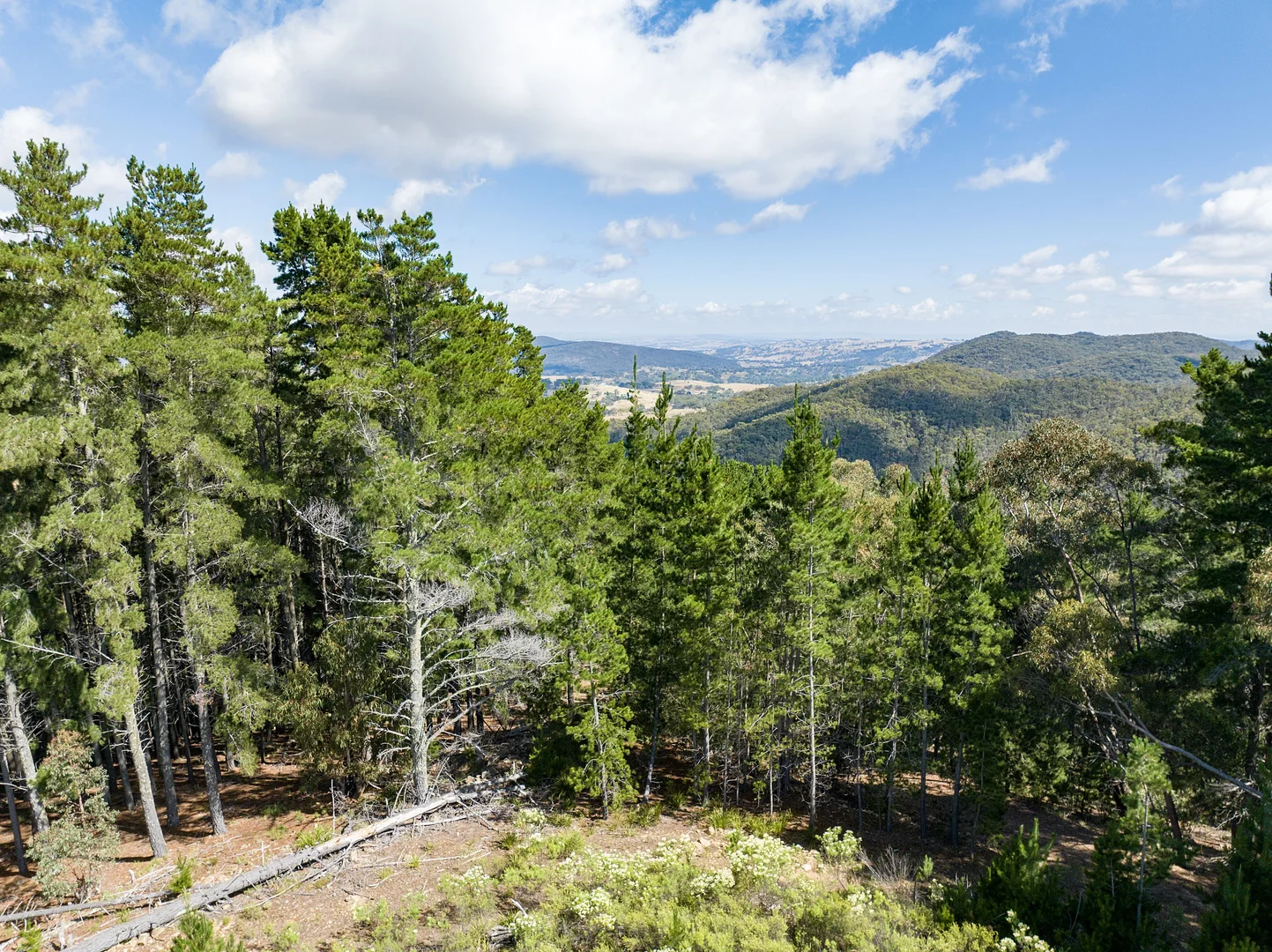 Additional image 3 of 771 Greywacke Road, Twenty Forests NSW 2795
