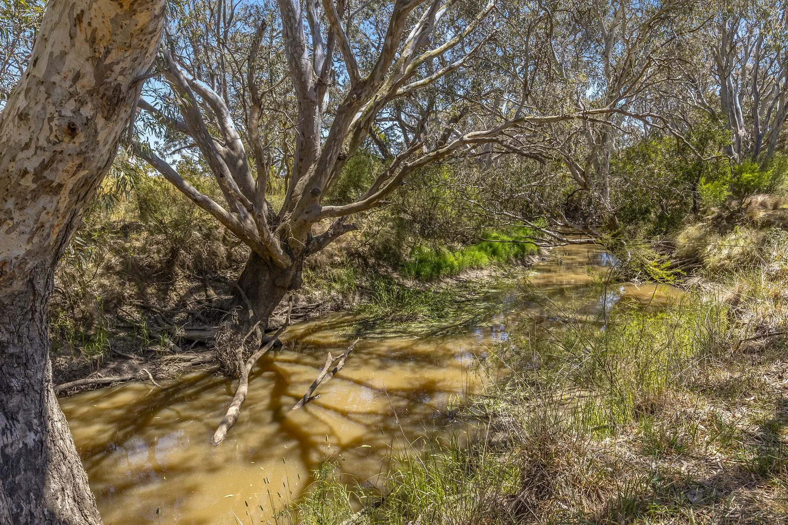 Additional image 19 of 1145 Inverleigh-Winchelsea Road, Inverleigh VIC 3321