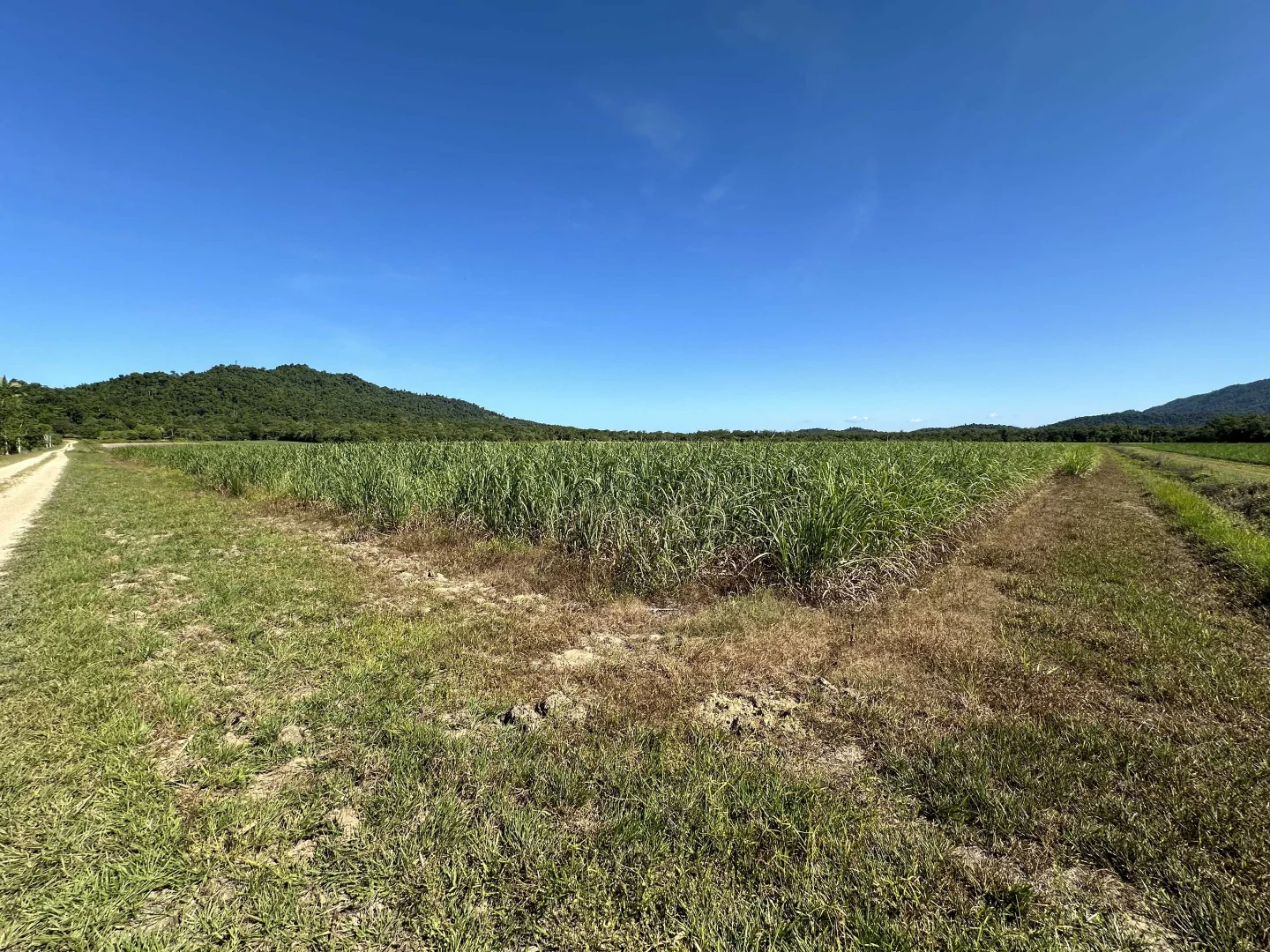 Additional image 12 of East Feluga QLD 4854