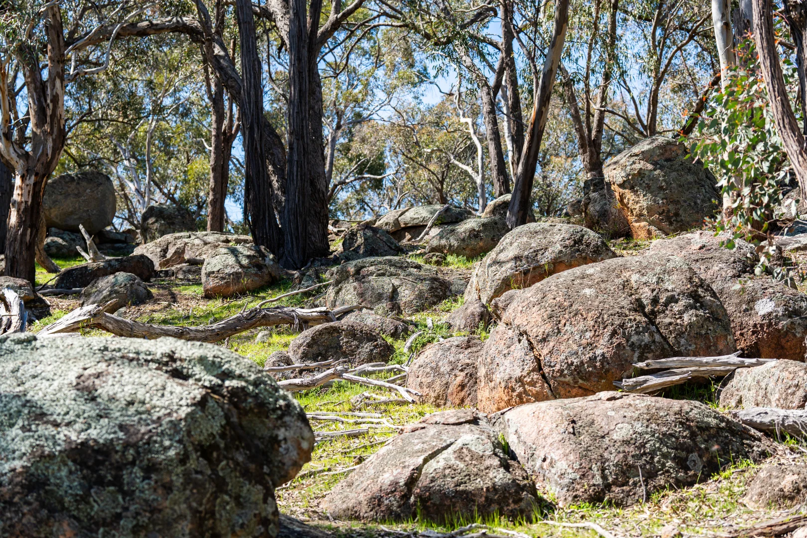 Additional image 16 of . Sanderson Road, Springhurst VIC 3682