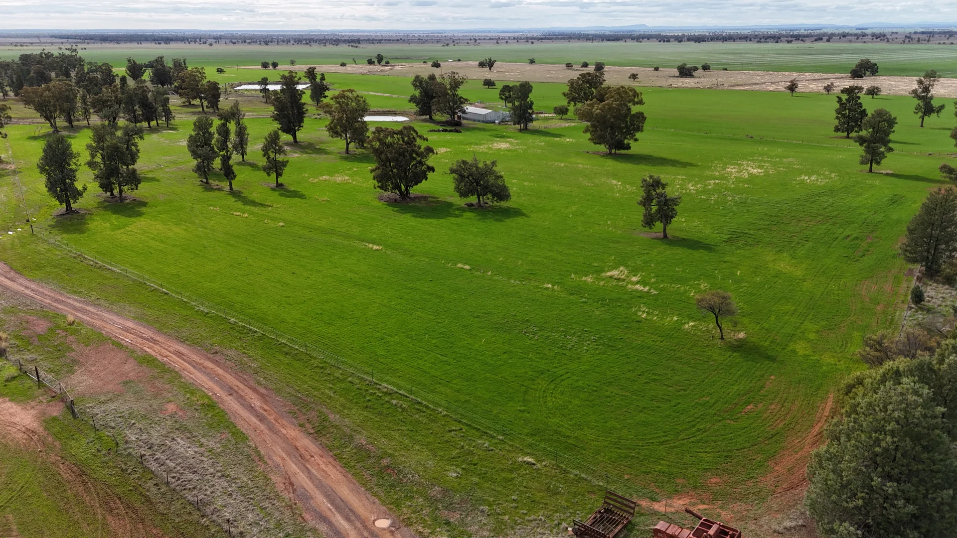 Additional image 8 of 877 Mount Tallabung Road, Forbes NSW 2871