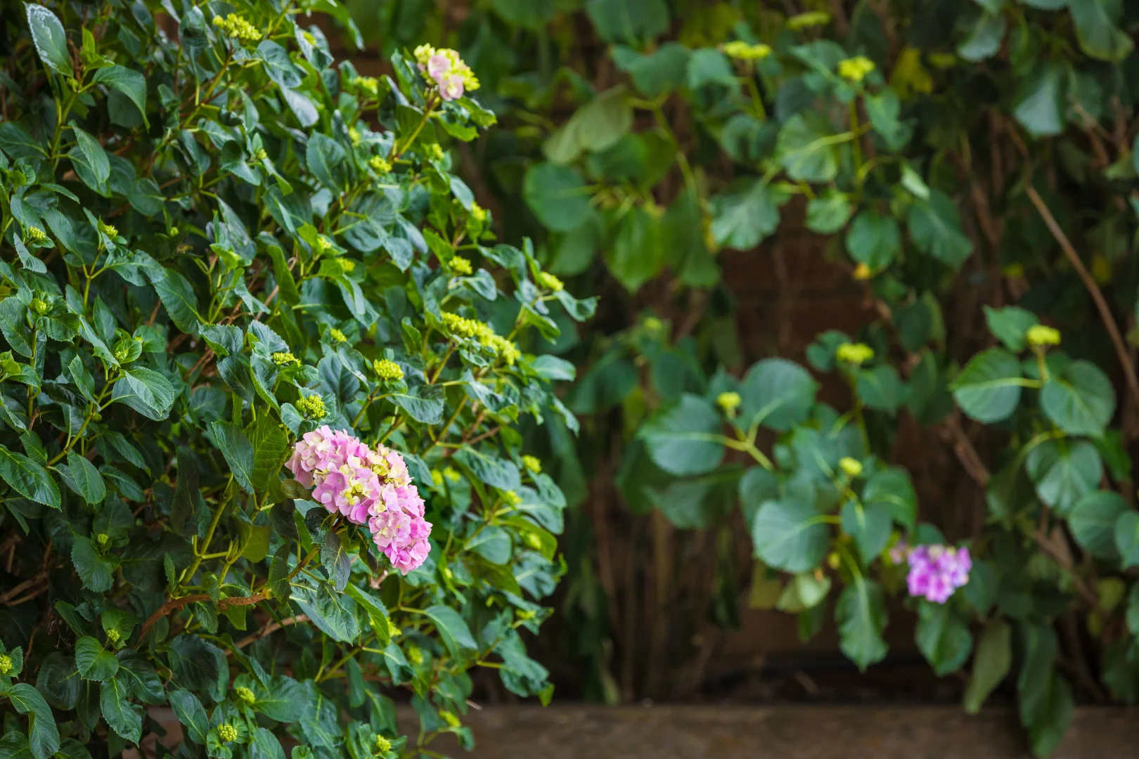 Additional image 25 of 1/158 Pacific Way, Tura Beach NSW 2548