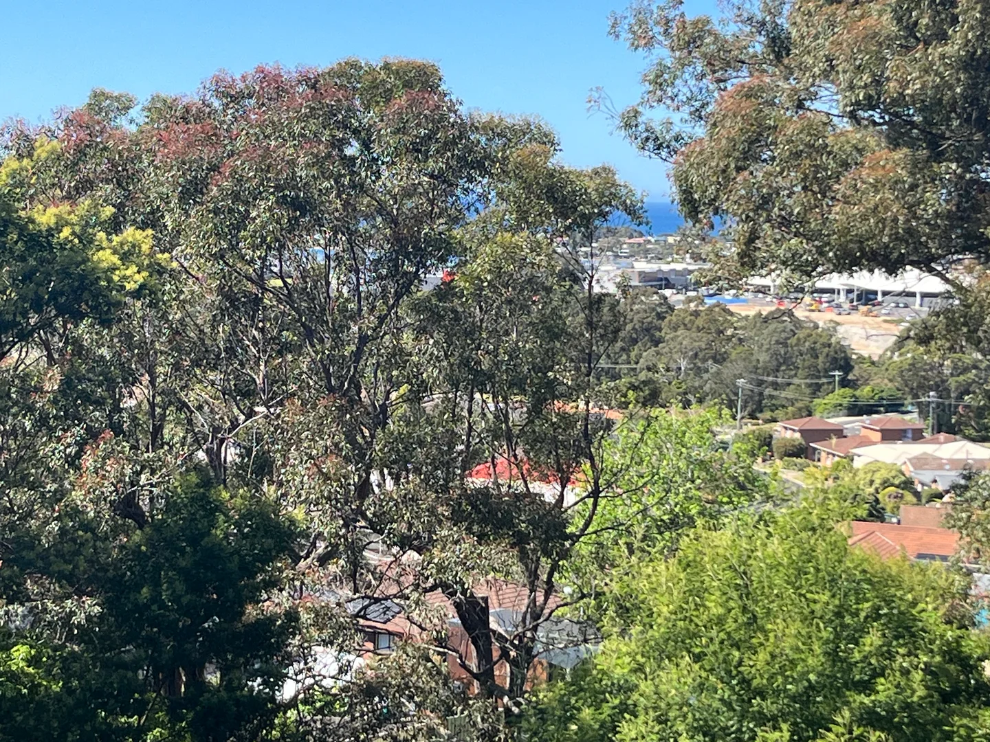 Additional image 3 of 82 Old Tathra Road, Berrambool NSW 2548